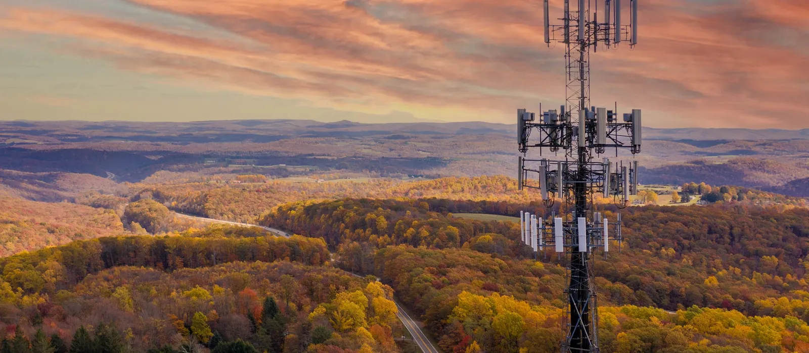 Cell phone tower above a forested hillside