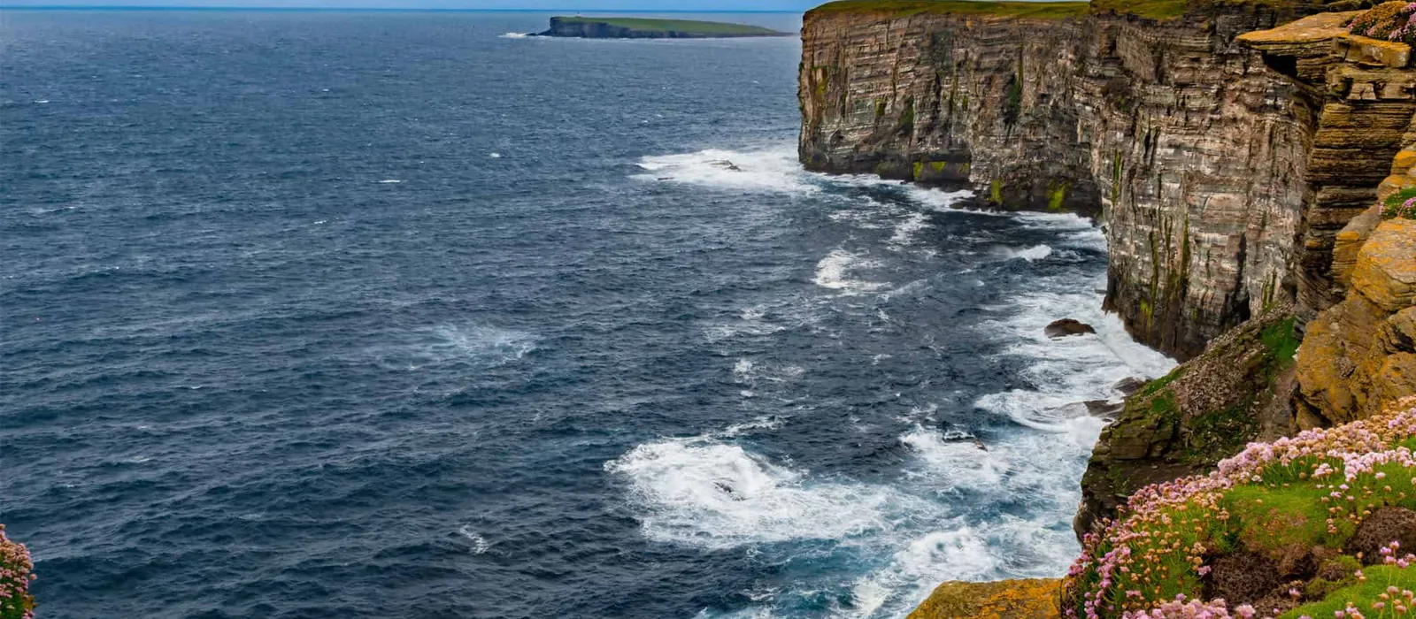 Sea cliffs with wildflowers above the ocean