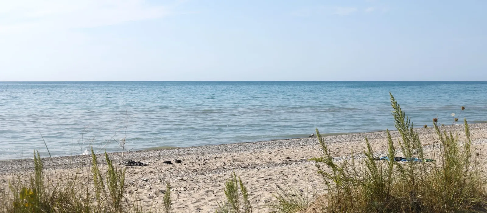 Sandy lakeshore at a park campground in summer