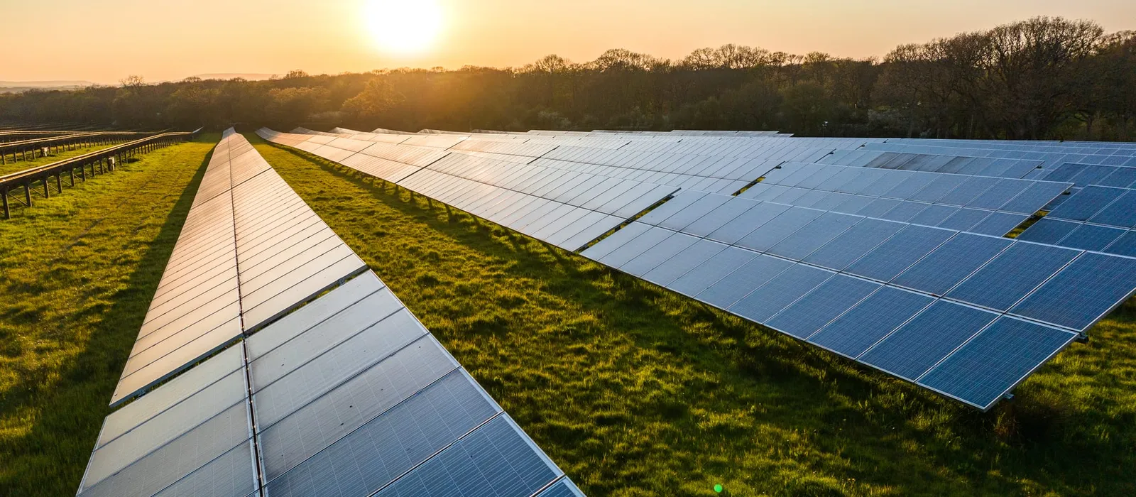 Rows of solar panels on a solar farm in the evening