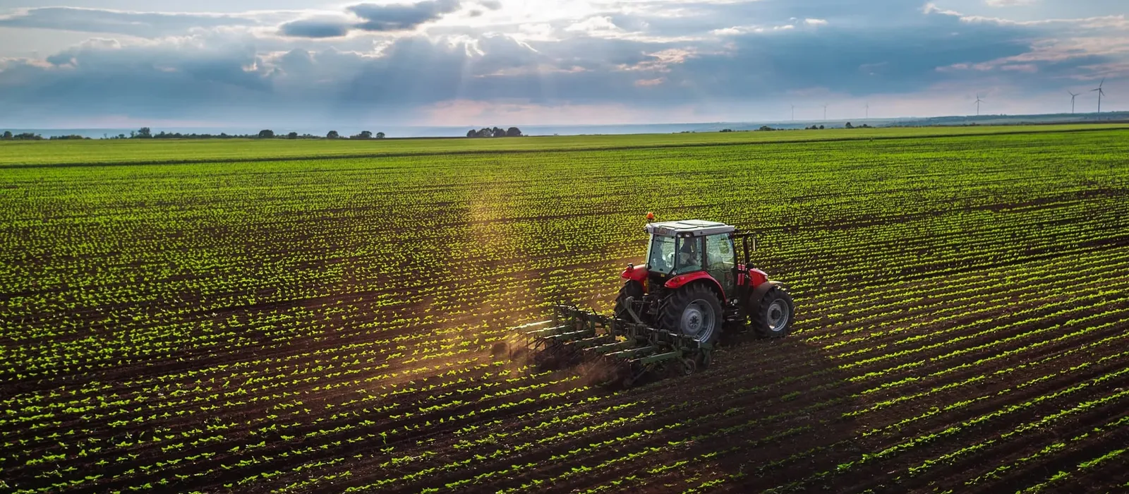 Tractor cultivating a field in spring