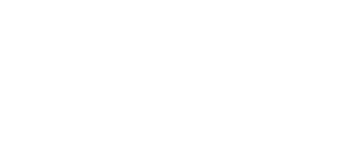 Nexpoint Logo